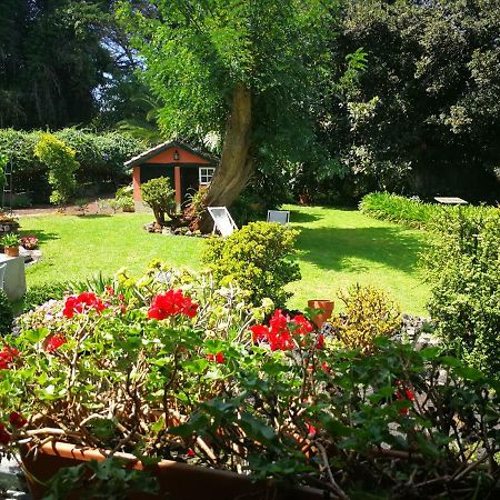 Jardines De Hortensia - Vacation Home Tenerife ลาลากูนา ภายนอก รูปภาพ