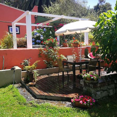 Jardines De Hortensia - Vacation Home Tenerife ลาลากูนา ภายนอก รูปภาพ