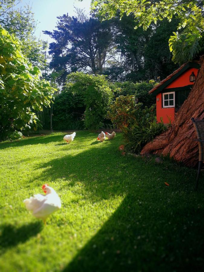 Jardines De Hortensia - Vacation Home Tenerife ลาลากูนา ภายนอก รูปภาพ