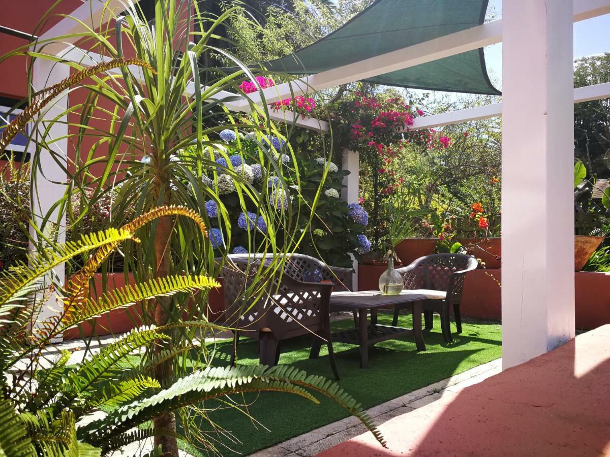 Jardines De Hortensia - Vacation Home Tenerife ลาลากูนา ภายนอก รูปภาพ