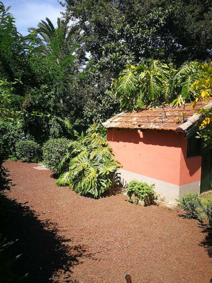 Jardines De Hortensia - Vacation Home Tenerife ลาลากูนา ภายนอก รูปภาพ