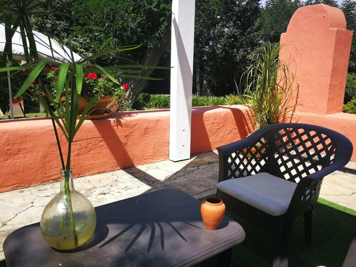 Jardines De Hortensia - Vacation Home Tenerife ลาลากูนา ภายนอก รูปภาพ