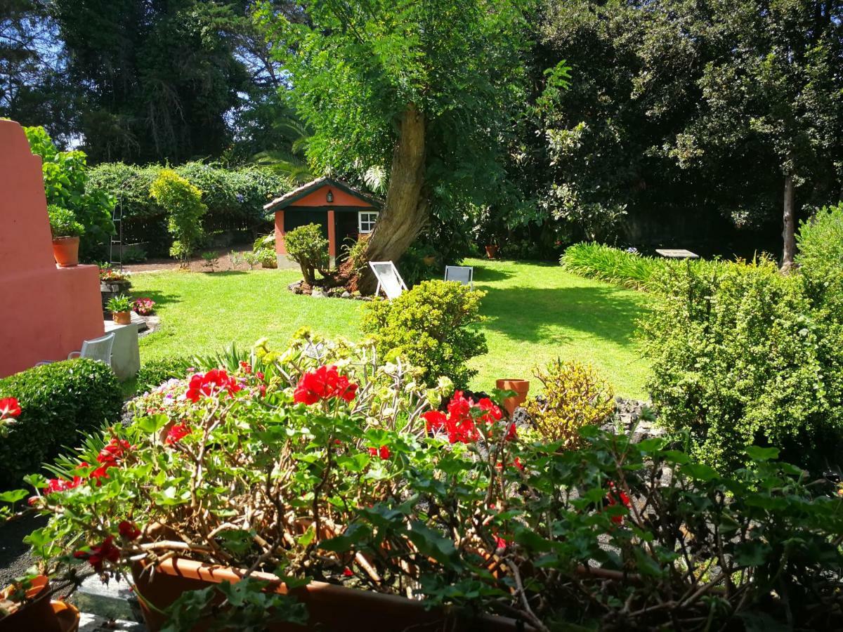 Jardines De Hortensia - Vacation Home Tenerife ลาลากูนา ภายนอก รูปภาพ