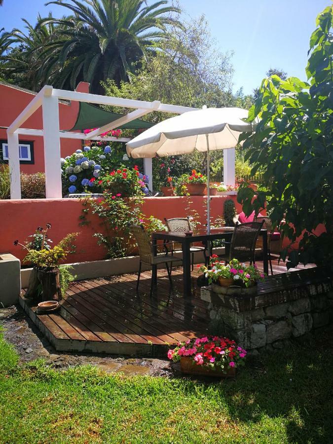 Jardines De Hortensia - Vacation Home Tenerife ลาลากูนา ภายนอก รูปภาพ