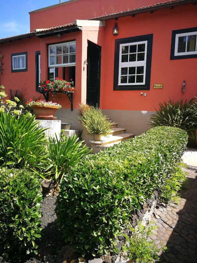Jardines De Hortensia - Vacation Home Tenerife ลาลากูนา ภายนอก รูปภาพ