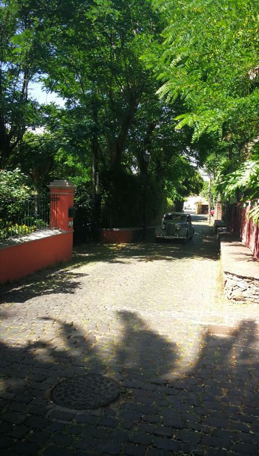Jardines De Hortensia - Vacation Home Tenerife ลาลากูนา ภายนอก รูปภาพ
