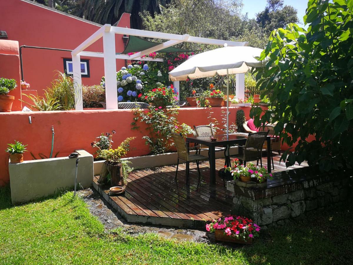 Jardines De Hortensia - Vacation Home Tenerife ลาลากูนา ภายนอก รูปภาพ